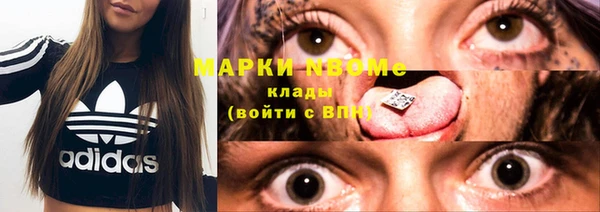 ешки Белокуриха