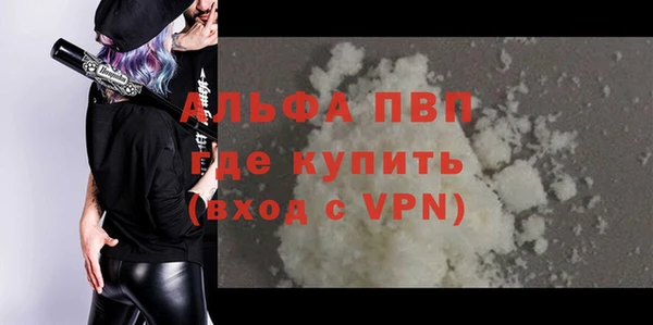 ешки Белокуриха