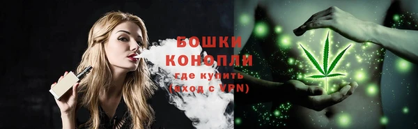 ешки Белокуриха