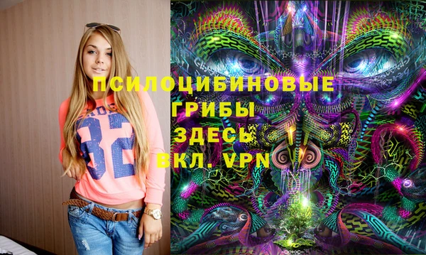 ешки Белокуриха