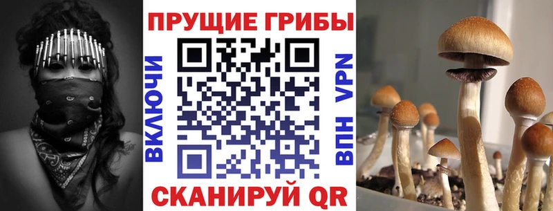 ссылка на мегу ссылка  Монино  Псилоцибиновые грибы Psilocybine cubensis 